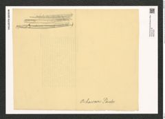Plagiogramma biharense Pant. (de-Toni-Nr.: Genus 83, Species 2912) Zeichnungen Sammlung Grunow (NHMW-BOT-W0374357)